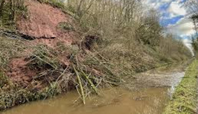 Woodseaves