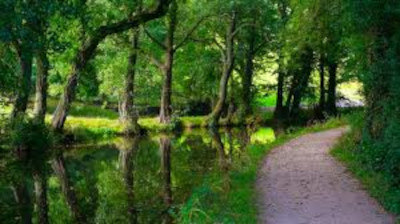 MonBrec