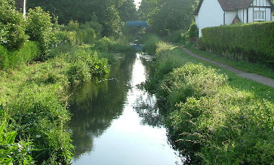 WendoverArm