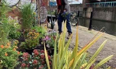 ManchesterTowpathGarden