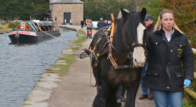 CronfordHorseDrawn