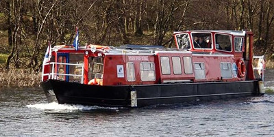 wooden spoon seagull