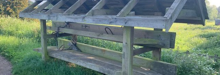 Brian2StopPlanksgone