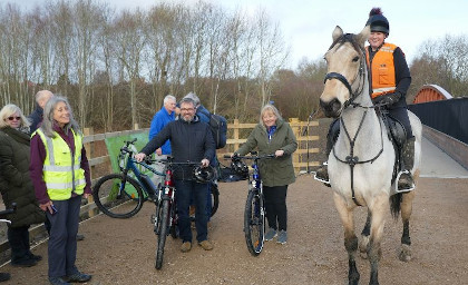 BridgeHorse