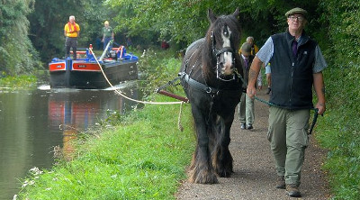 HorseBoating400