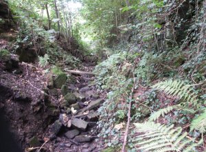 chesterfield Norwood locks