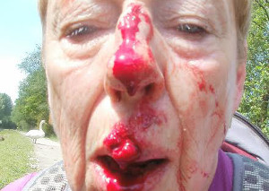 judith norris 