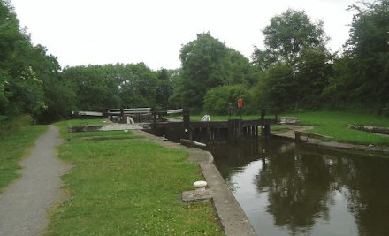 L39BankNewton