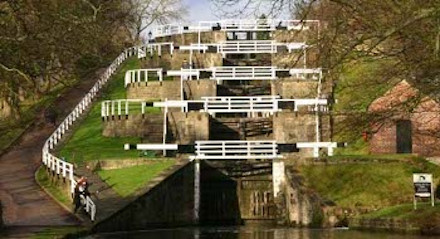 bingley five rise