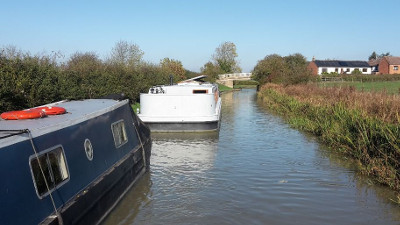 Wide Beam Willoughby2