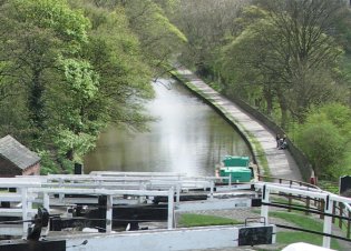 bingley down2