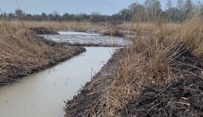 Wetlands3