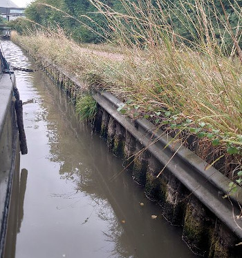 LowWater