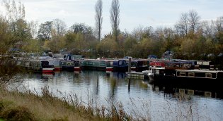 ripon1