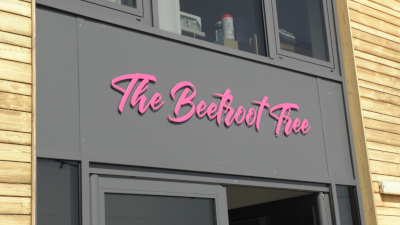 BeetrootTree