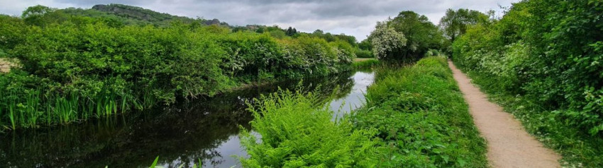 Dredged Canal