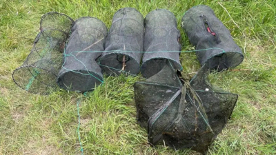 CrayfishTraps