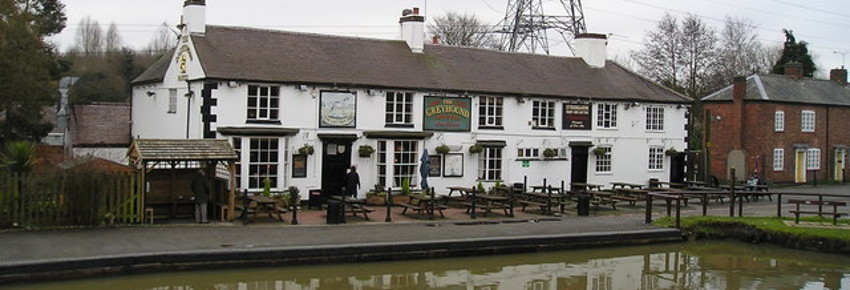 GreyhoundSuttonStop800