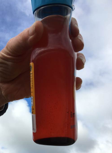 sticky fuel robin sundt