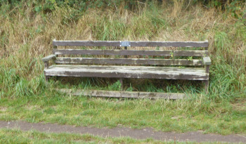RottenSeat