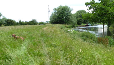 Towpath Soar