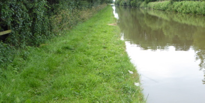 LeicesterSection