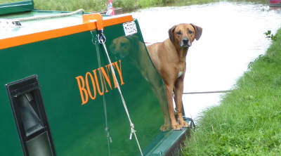 RustyBounty
