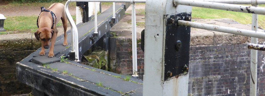 Rusty on lock2000