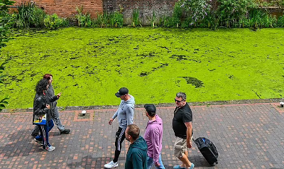 BirminghamGreen