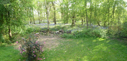 BackHouse